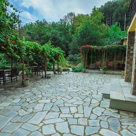 Ellis Full Guest House Tsagarada Bagian luar foto